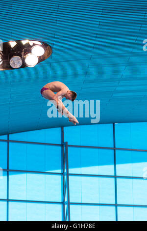 Aquatics Centre, Olympic Park, London, UK. 15th May 2016. British diver Matty Lee (Matthew Lee) in his first round dive. Fellow Brit Tom Daley wins gold with 570.50 points, ahead of Victor Minibaev from Russia with 424.60 points and a second Russian, Nikita Shleikher with 480.90 points at the LEN European Aquatics Championships. Credit:  Imageplotter News and Sports/Alamy Live News Stock Photo