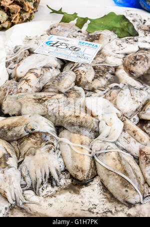 Cuttlefish for sale at small market stall in the Campo Santa Margherita, Dorsoduro, Venice, Italy Stock Photo