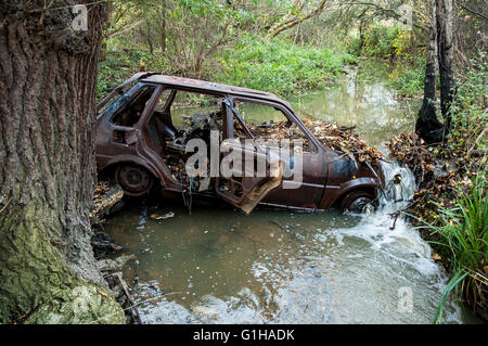 A burned out car that was stolen, joyridden, crashed into a ditch and set on fire Stock Photo