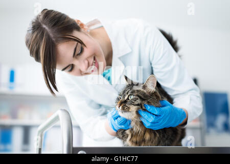 Smiling veterinarian examining a cat on the surgical table, pet care concept Stock Photo