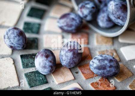 Fresh bright lilac colored Prunes harvested from Farm tree Stock Photo