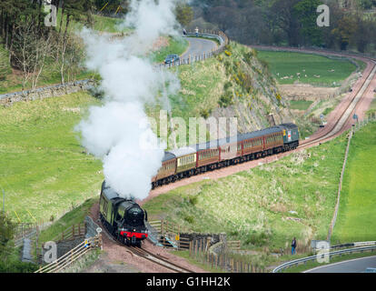 The Flying Scotsman, passes Galabank on route from Edinburgh Waverley to Tweedbank, Galashiels, Scottish Borders May 15th 2016. Stock Photo