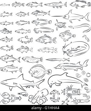 vector illustration of sea fishes and creatures collection in line art mode Stock Vector