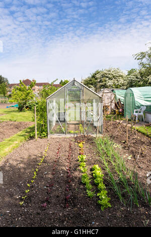 Well tended allotment garden in springtime. A plot of land for families to grow vegetables for personal use. Stock Photo