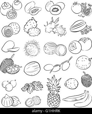 vector set of tropical fruits in line art mode Stock Vector