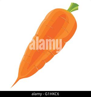 Vegetable carrot on white background is insulated Stock Vector
