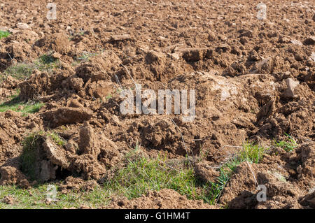 Detail of a ploughed field. Photo taken in Guadalajara Province, Spain Stock Photo