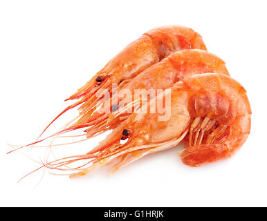 Tiger shrimps isolated on a white background. Seafood. Stock Photo