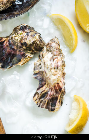 freshly catch oysters with lemon slices and ice on stone table Stock Photo