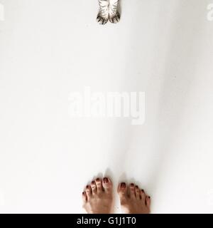 Overhead view of woman's feet and american shorthair cat paws Stock Photo