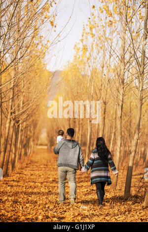 Rear view of couple walking in forest with baby daughter Stock Photo