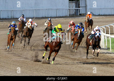 Cavite, Philippines. 15th May, 2016. Horse name “Radio Active” and Jockey J. A. Guce lead the race and made it to win for 2016 PHILRAMCO “1st Leg Triple CROWN Stakes Race” during the 14th KDJM Anniversary Trophy Race Santa Ana Park in Naic Cavite Province. © Gregorio B. Dantes Jr./Pacific Press/Alamy Live News Stock Photo