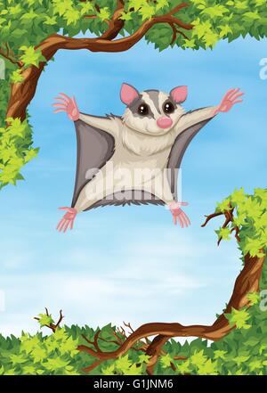 Sugar glider flying on the tree illustration Stock Vector