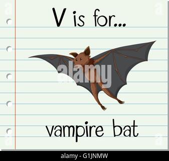 Flashcard letter V is for vampire bat illustration Stock Vector