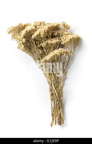 Bouquet of dried flowers yarrow on white background. The yarrow is known as an herb widely used with curative intent. Stock Photo
