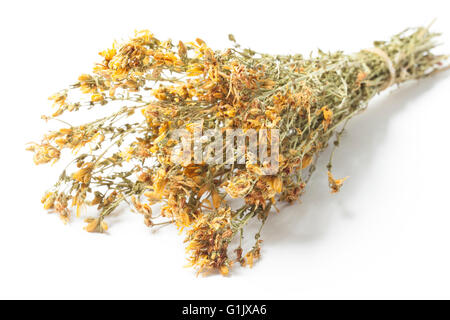 Dry twigs of St. John's wort as a bunch isolated on white background. The herb known also as Hypericum Perforatum. Stock Photo