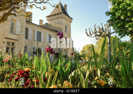 English style garden, Wine Estate Chateau Carignan, castle, Carignan de Bordeaux, France. Stock Photo