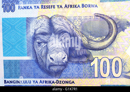 South Africa 100 Rand note Stock Photo - Alamy