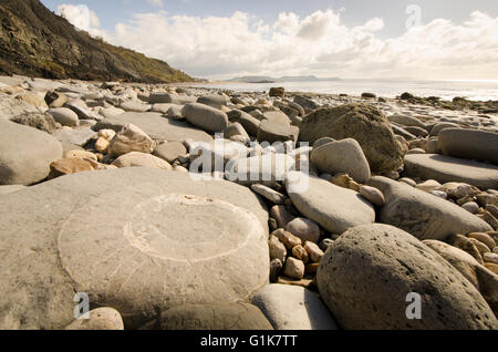 Spiral beach hi-res stock photography and images - Alamy