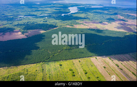 COSTA RICA - Aerial of palm oil plantation. Stock Photo