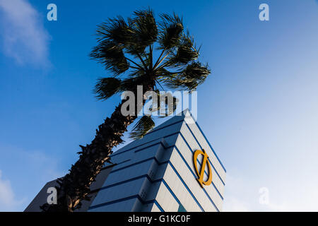 Abstract Lima skyline with a wind-blown palm tree Stock Photo