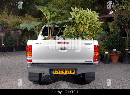 2009 Toyota Hilux pickup truck loaded with trees and plants Stock Photo