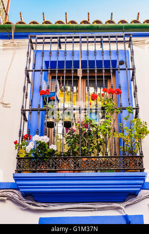 Colorful balconies are part of the traditional architecture of the Cordovan houses. Córdoba, Andalusia, Spain, Europe Stock Photo