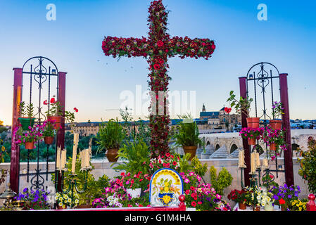 The May Crosses Festival, Cruces de Mayo, is celebrated in many parts of the world. Córdoba, Spain Stock Photo