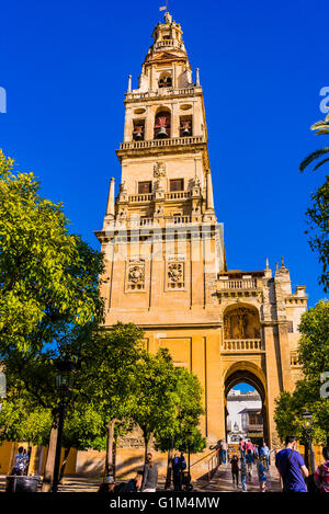 The Bell Tower, called the Tower of Alminar, seen from the Courtyard of the Orange Trees, Mosque-Cathedral of Córdoba, Andalusia Stock Photo