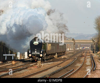 60019 BITTERN storms towards Three Bridges with the Cathedrals Express from London Victoria to Chichester Stock Photo