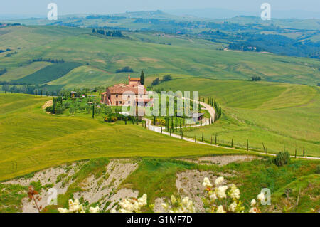 Tuscany Landscape,  Near Asciano, Siena Province, Crete Senesi, Tuscany, Italy Stock Photo