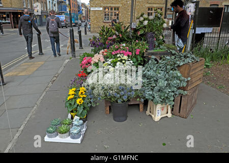 Flower stall selling cut flowers in Tanner and Bermondsey Street South London UK  KATHY DEWITT Stock Photo