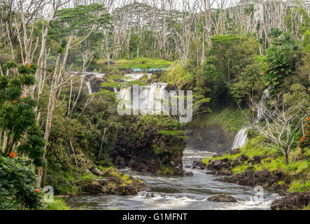 An overcast day at Pe'epe'e Falls on the Big Island of Hawaii Stock Photo