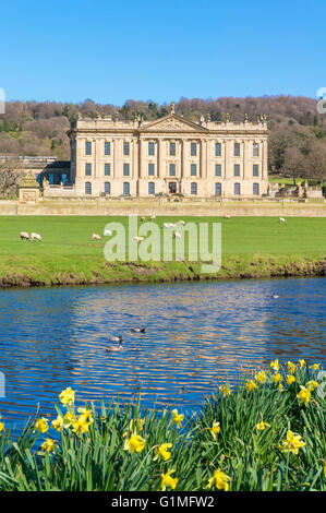 Chatsworth house Derbyshire in Spring Chatsworth House front facade park and gardens with river Derwent Derbyshire dales England, UK, GB, Europe Stock Photo