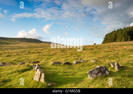 An ancient Neolithic hut circle on the foothills of Roughtor near Fernacre on Bodmin Moor in Cornwall Stock Photo