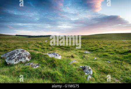 Grassy plains and wide open space near Roughtor on Bodmin Moor in Cornwall Stock Photo
