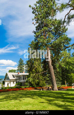 Garden offices and Ponderosa Pine tree, Summerland Ornamental Gardens, Summerland, BC, Canada Stock Photo