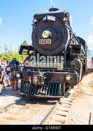 1912 steam locomotive 3716, 'Spirit of Summerland, pulls a train on the Kettle Valley Steam Railway, near Summerland BC Canada. Stock Photo