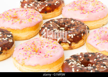 Rows of chocolate and pink iced doughnuts with sprinkles on an isolated white background. Stock Photo