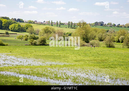 Water meadows in the Windrush valley near the Cotswold town of Burford, Oxfordshire, England, UK Stock Photo