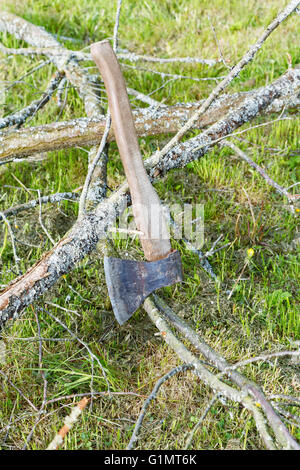 ax and branches of old trees on the grass Stock Photo