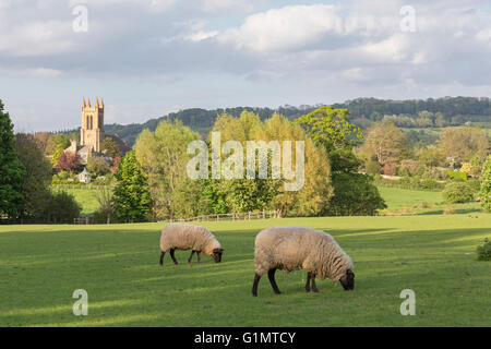 Evening summer light over the Cotswolds and St Michael & All Angels church, Broadway, Worcestershire, England, UK Stock Photo