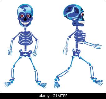 Two walking skeletons on white background is insulated Stock Vector