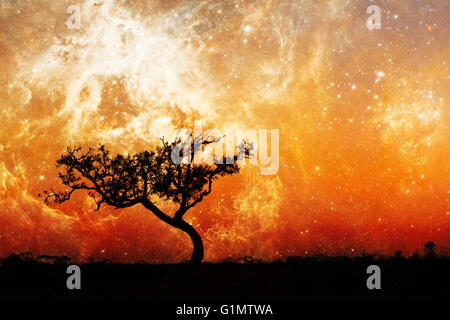 Lone tree silhouette on alien planet with glowing orange galaxy stars in the sky - elements of this image are furnished by NASA Stock Photo