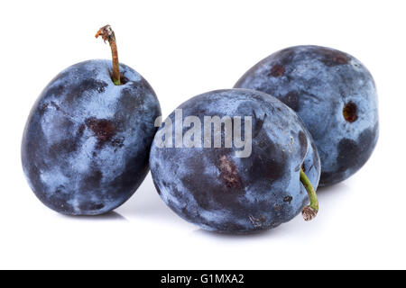 Ripe plums in closeup on white. Organic fruits. Stock Photo