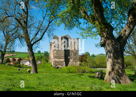 Hopton Castle, South Shropshire, England. Stock Photo