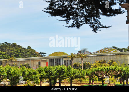 San Francisco: the green roof of California Academy of Sciences, the architect Renzo was inspired by 7 major hills of the city Stock Photo