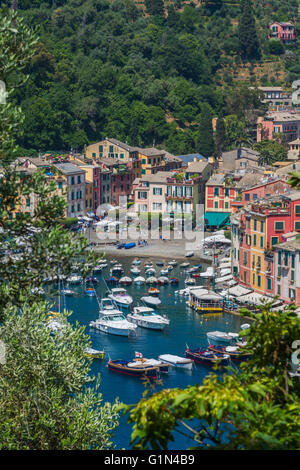 Portofino, Genoa Province, Liguria, Italian Riviera, Italy.  Classic overall view of the village and harbour. Stock Photo