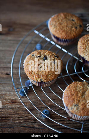 Freshly baked Blueberry hazelnut muffins on a cooling rack Stock Photo