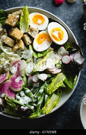 Spring greens salad with fennel, radish & miso-buttermilk dressing Stock Photo
